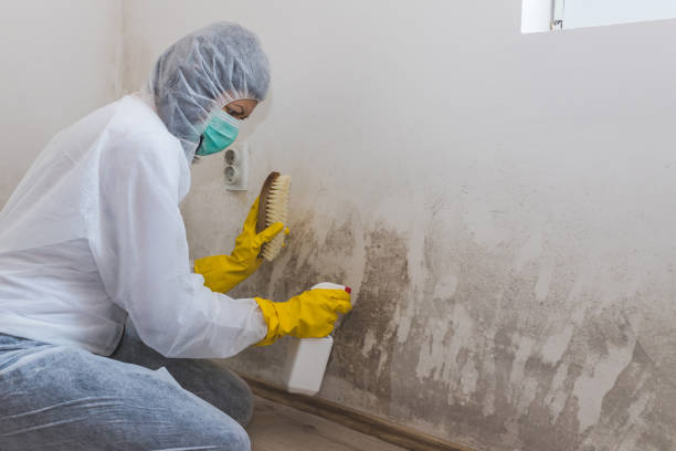 Best Crawl Space Mold Removal  in Moore Haven, FL