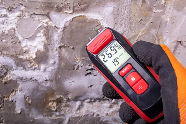 Best Water Damage Restoration  in Moore Haven, FL